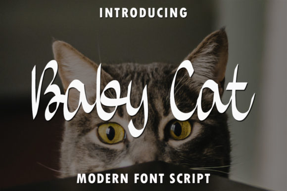 Baby Cat: A Handwritten Font for Scroll-Stopping Digital Campaigns
