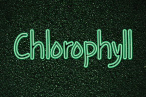 Chlorophyll: A Quirky Handwritten Font for Editors
