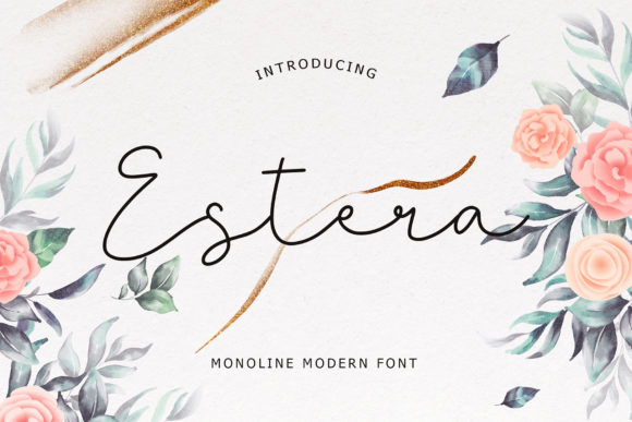 Estera: A Dreamy Handwritten Font for Business Branding