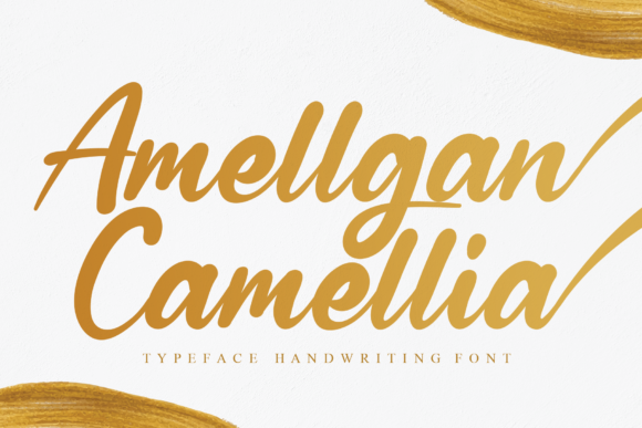 How Amellgan Camellia Transformed My Brand’s Look—One Font at a Time