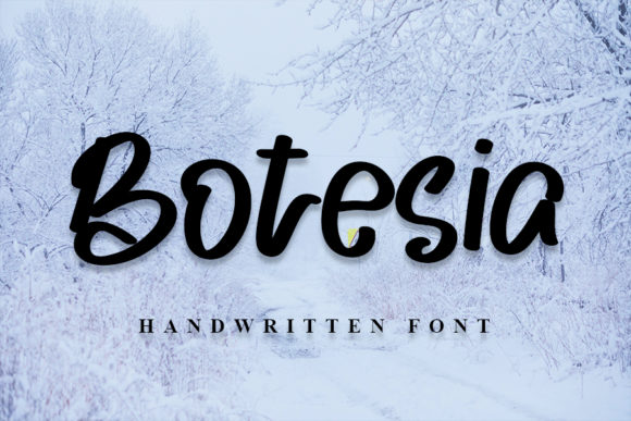 How Botesia Became the Heart of a Café’s Branding Project