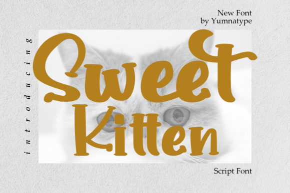 Sweet Kitten: A Bold Handwritten Font for Campaigns